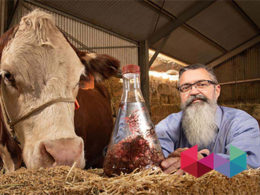 Webit Investment Network (BSE:WIN) announces another investment in achieving UN Goal 2030